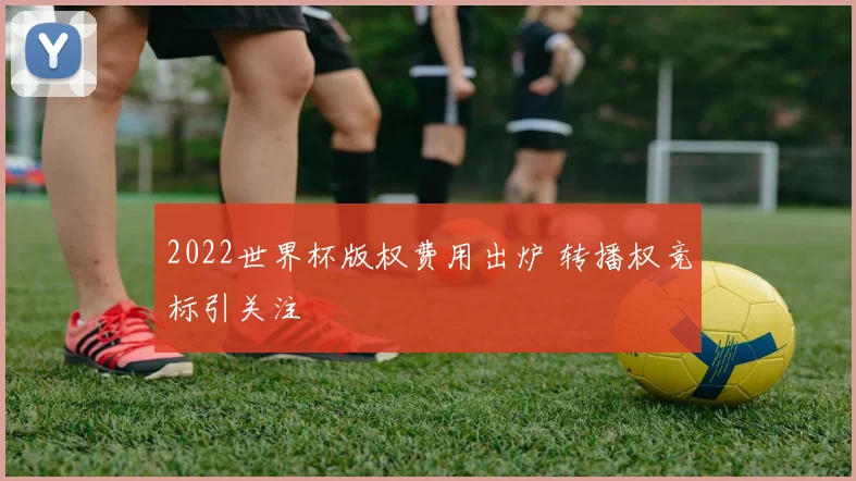 2022世界杯版权费用出炉 转播权竞标引关注